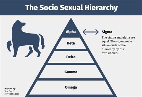 alpha beta sigma male chart